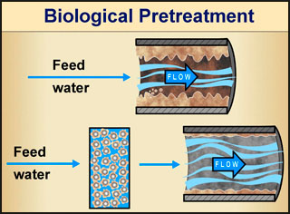 Biological Pretreatment Biological Pretreatment